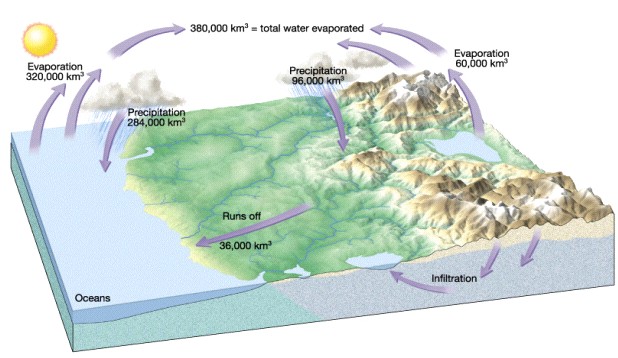 hydrologic cycle